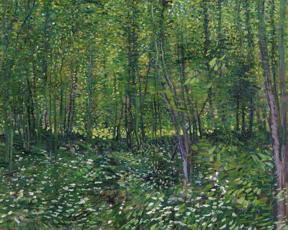Woods and Undergrowth od Vincent van Gogh
