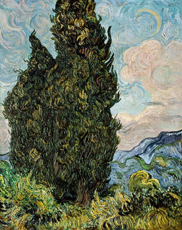 Cypresses od Vincent van Gogh