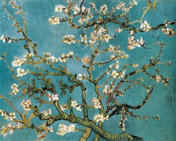 Květoucí větve mandlového stromu od Vincent van Gogh