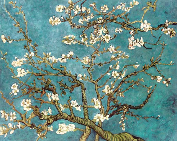 Blühende Mandelbaumzweige(Dublikat) od Vincent van Gogh