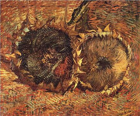 Two Cut Sunflowers od Vincent van Gogh