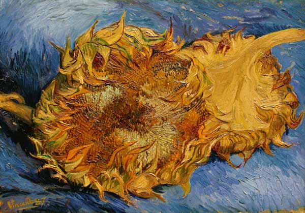 The Sunflowers od Vincent van Gogh
