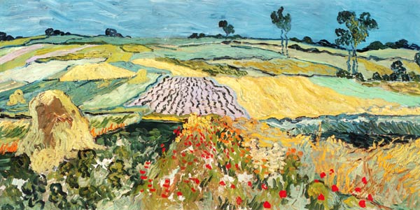 Nížina u Auvers od Vincent van Gogh
