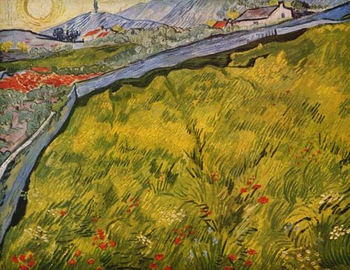 The meadow fenced in od Vincent van Gogh