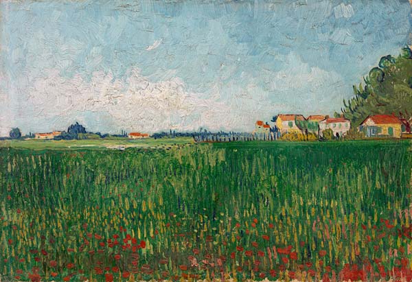 Makové pole od Vincent van Gogh