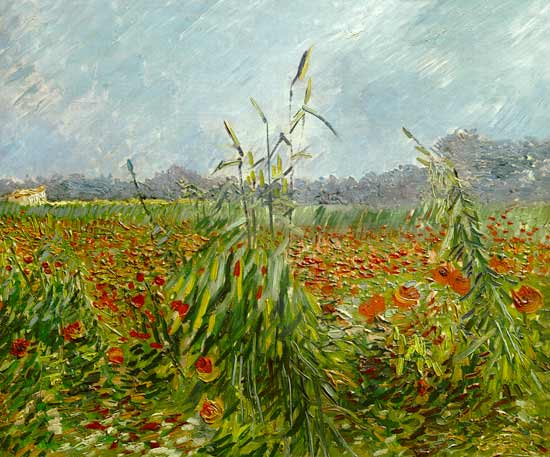 Green grain stalks od Vincent van Gogh