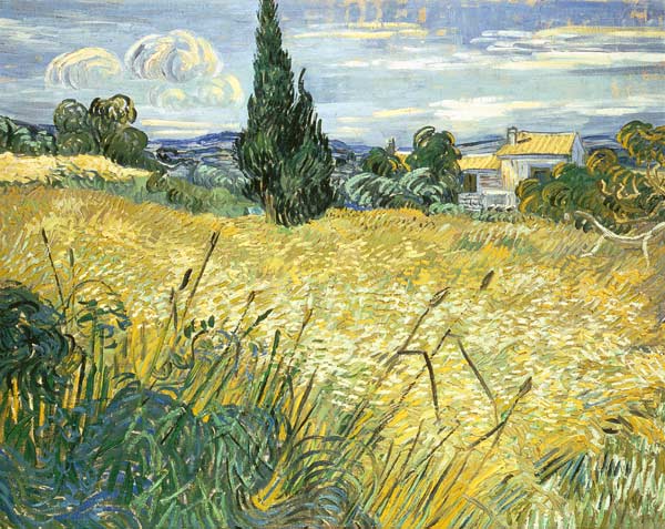 Landscape with Green Corn od Vincent van Gogh