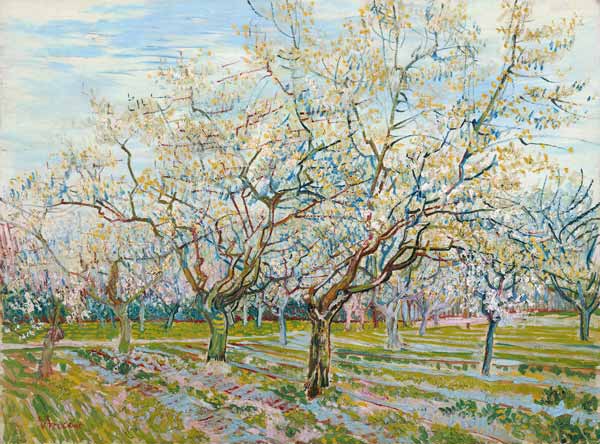 Der weiße Obstgarten od Vincent van Gogh