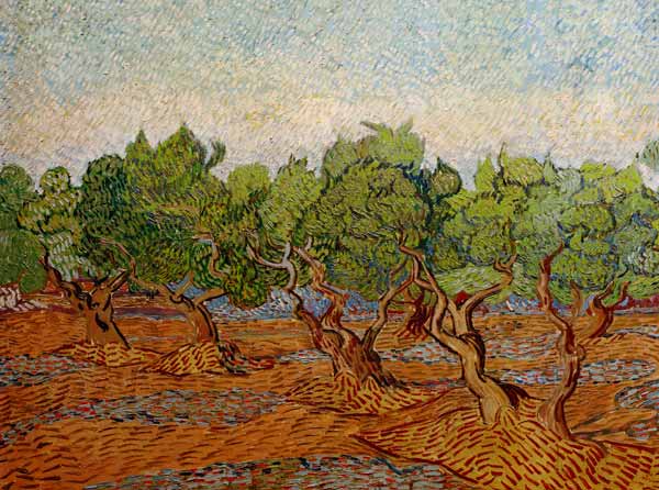 Van Gogh, Olive Grove / Paint./ 1889 od Vincent van Gogh