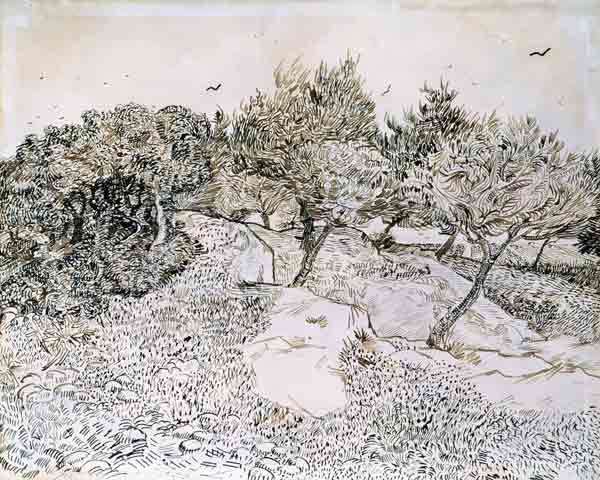 The Olive Trees (pen & ink on paper) od Vincent van Gogh