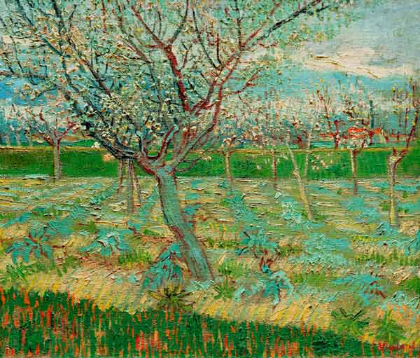 van Gogh / Orchard in Blossom / 1888 od Vincent van Gogh