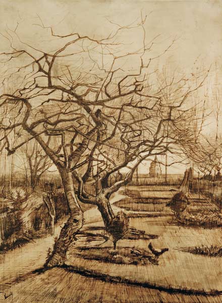 Farní zahrada v Nuenenu od Vincent van Gogh