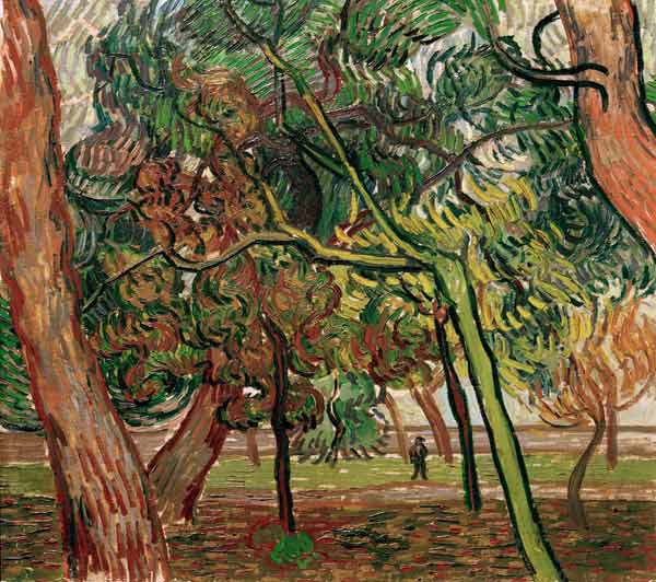 V.van Gogh, Study of Pine Trees / 1889 od Vincent van Gogh