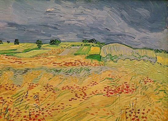 Plain at Auvers od Vincent van Gogh