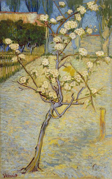 Small pear tree in blossom od Vincent van Gogh