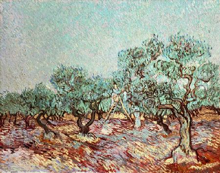 Van Gogh / The Olive Gatherers