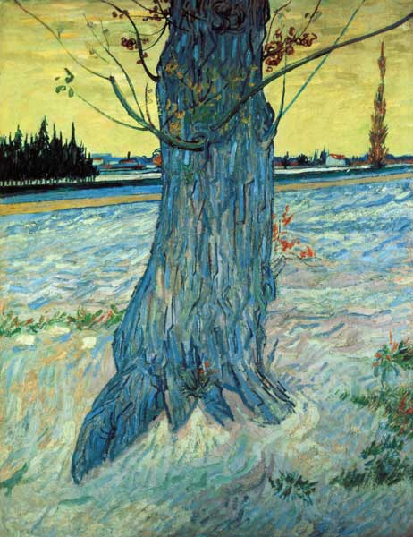 van Gogh / The Tree / 1888 od Vincent van Gogh