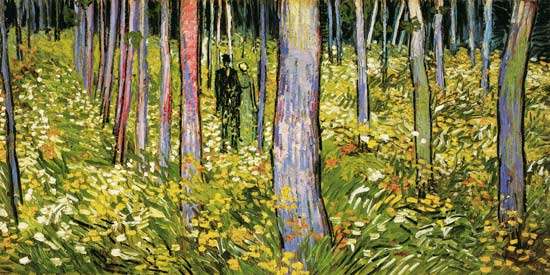 Undergrowth od Vincent van Gogh