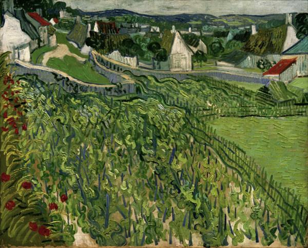 van Gogh / Vineyards at Auvers / 1890 od Vincent van Gogh
