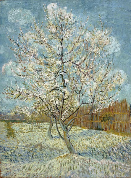 The Pink Peach Tree od Vincent van Gogh