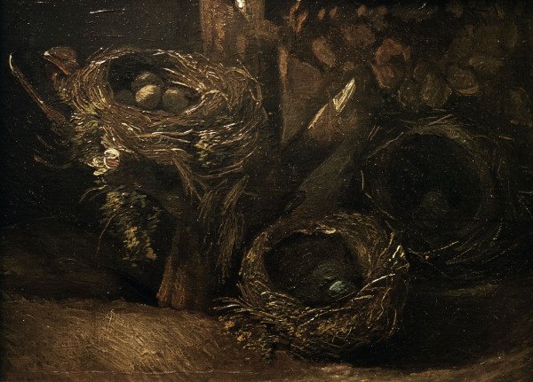v.Gogh / Bird s nests / 1885 od Vincent van Gogh