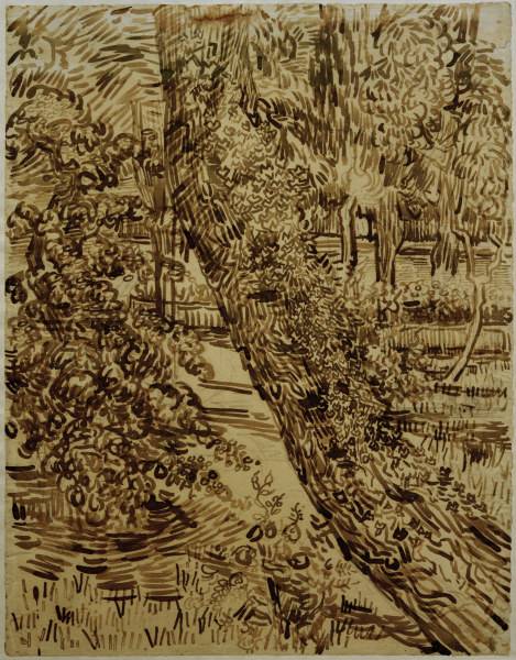v.Gogh, Tree w.Ivy in Asylum Garden od Vincent van Gogh
