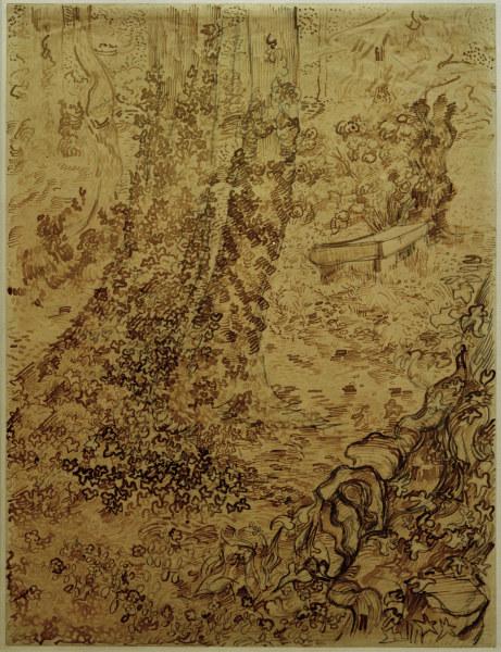 v.Gogh, Trees w.Ivy in Asylum Garden od Vincent van Gogh