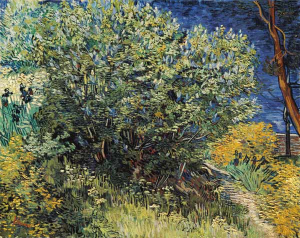 V.v.Gogh / Lilacs / Painting / 1889 od Vincent van Gogh