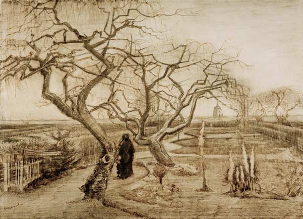 V.van Gogh, Winter Garden / Draw./ 1884 od Vincent van Gogh
