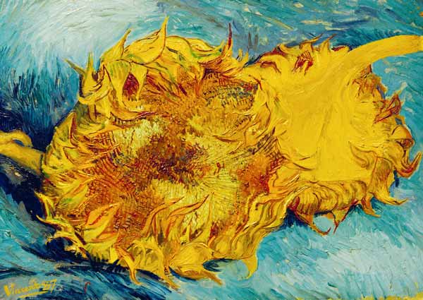 two sunflowers cut off od Vincent van Gogh