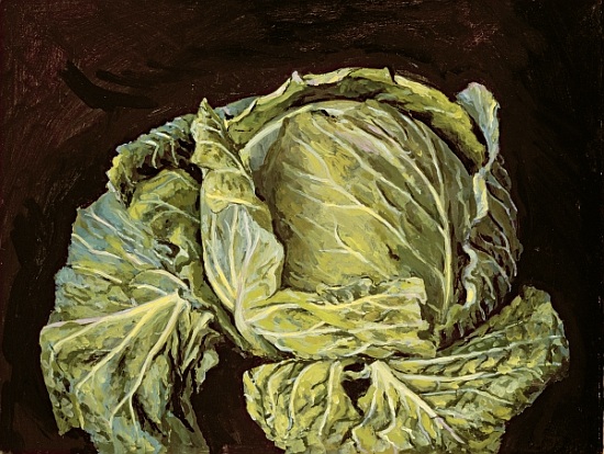 Cabbage Still Life od  Vincent  Yorke