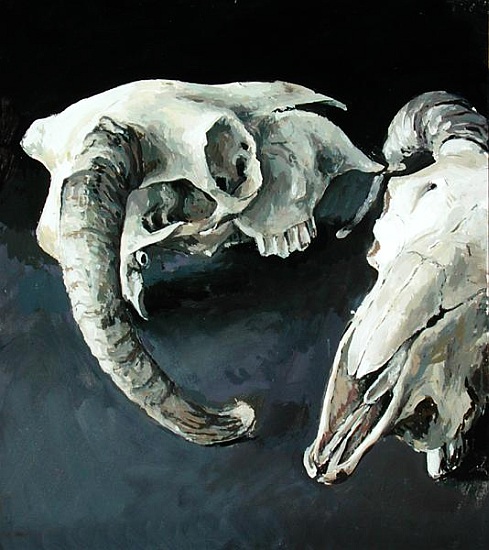 Sheep Skulls od  Vincent  Yorke