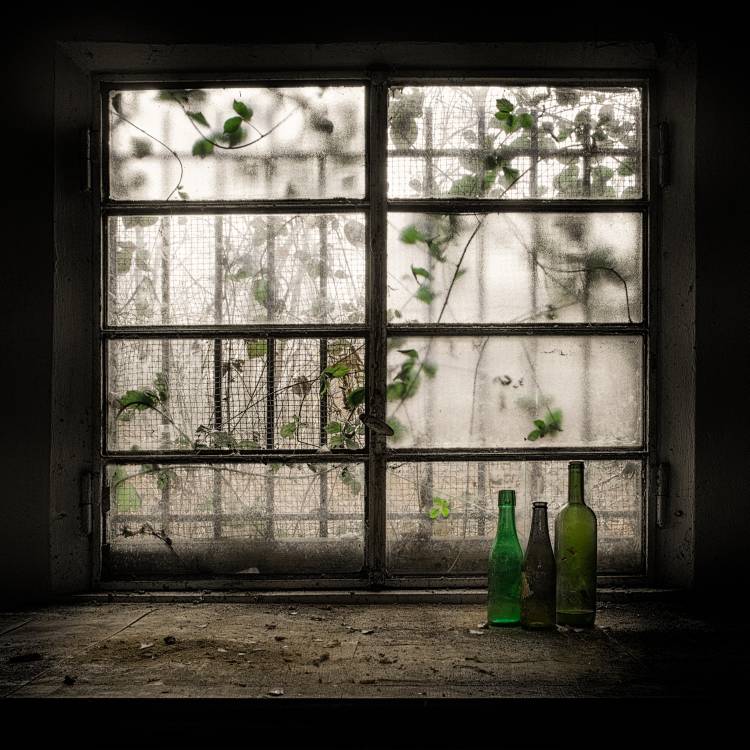 Still-Life with glass bottle od Vito Guarino