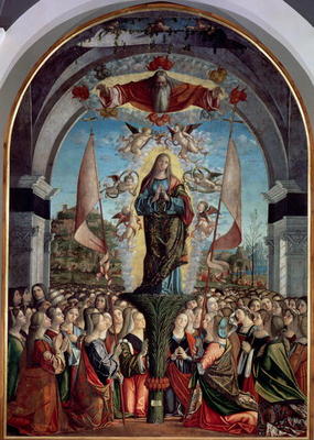 Glorification of St. Ursula and her Companions od Vittore Carpaccio