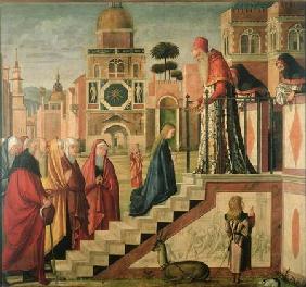 Presentation of Mary in the Temple, oil on canvas