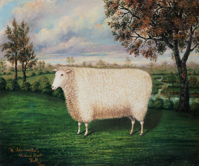 A Prize Sheep of the Old Lincoln Breed od W. Adamson