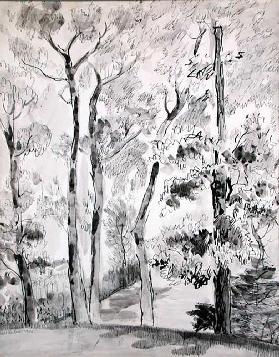 Trees, Sands Point, 1935
