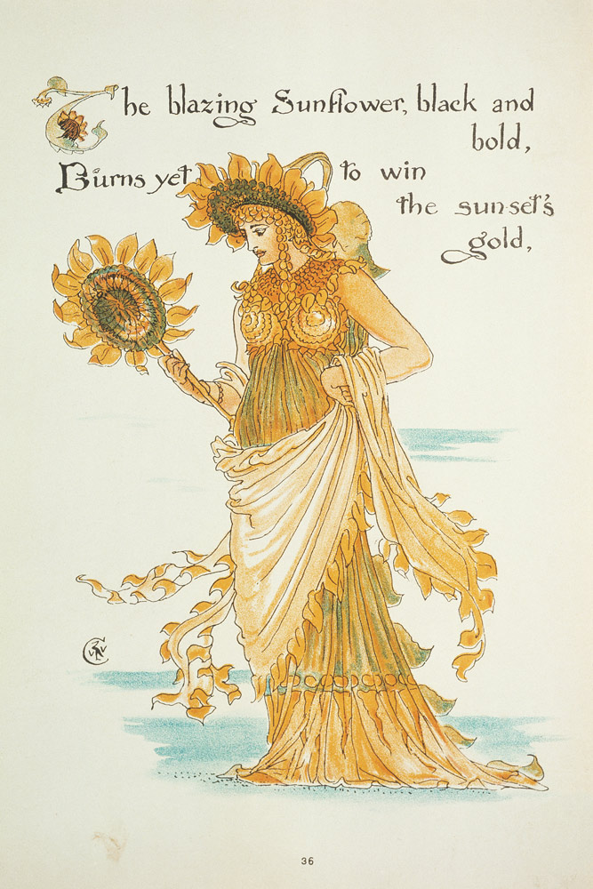 Sunflower od Walter Crane