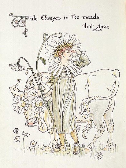 ''Wild Oxeyes in Meads that Gaze'', illustration to ''Flora''s Feast, A Masque of Flowers'' od Walter Crane