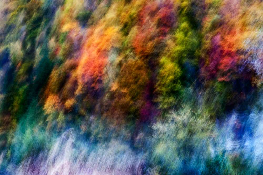 COLORFUL FOREST od Wei He