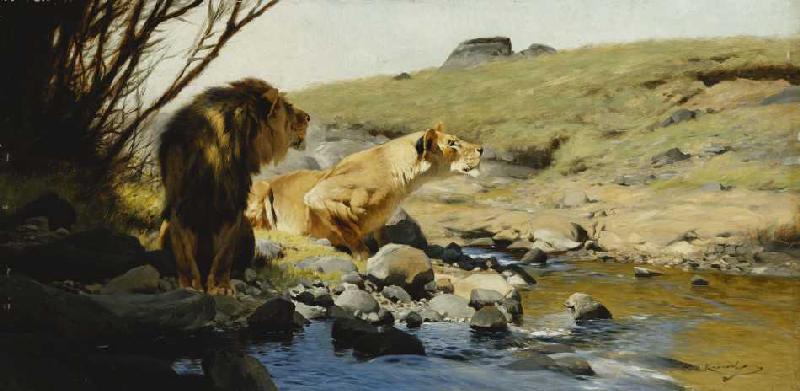 Ein Löwe und eine Löwin an einem Bach. od Wilhelm Kuhnert