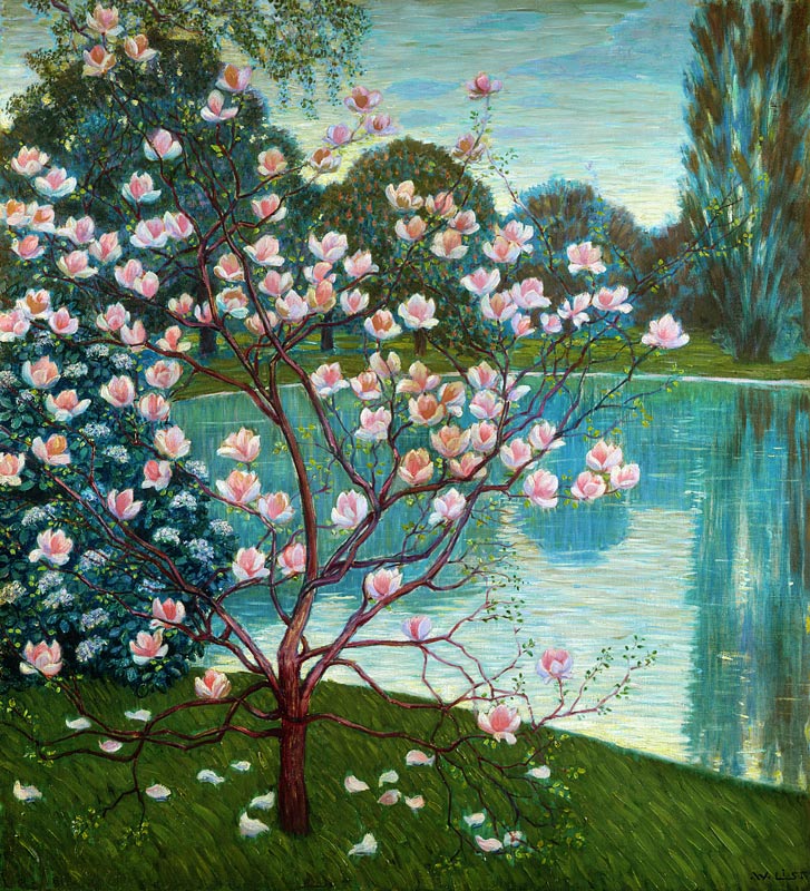 Magnolia od Wilhelm List