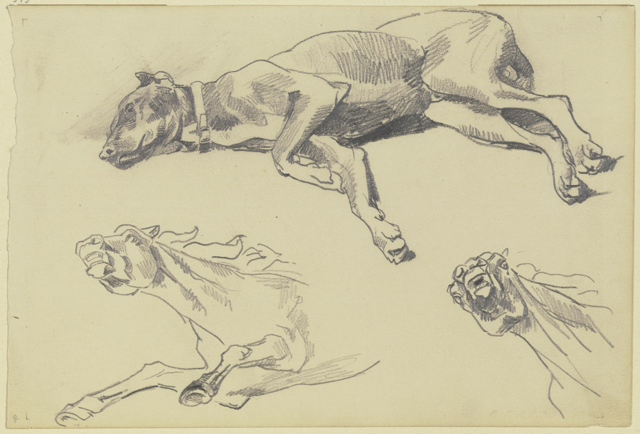 Studienblatt: Die Dogge Cäsar, auf der Seite liegend nach links, schlafend; darunter zwei Pferdestud od Wilhelm Trübner