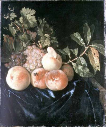 Still Life with Peaches and Grapes od Willem Frederik van Royen
