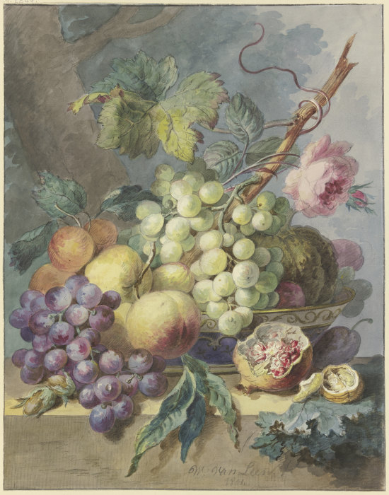 Fruchtstück mit Trauben, Pfirsichen usw., dabei eine Rose od Willem van Leen