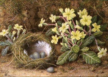 Still Life of Eggs in a Nest and Primroses od William B. Hough