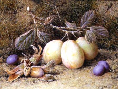 Still Life with plums and nuts od William B. Hough