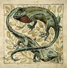 Lizards, design for a tile  on