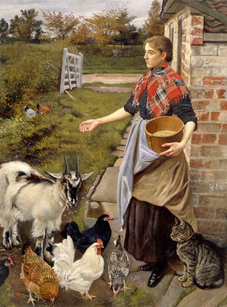 Feeding the Chickens od William Edward Millner