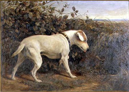 Terrier in a Landscape od William Elsob Marshall